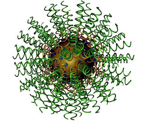 Spherical nucleic acid (SNA)