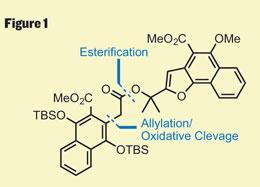 CHEMICAL-SCIENCE-p32-260