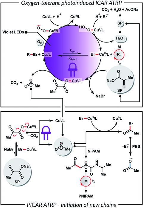 An image showing the proposed mechanism of PICAR ATRP