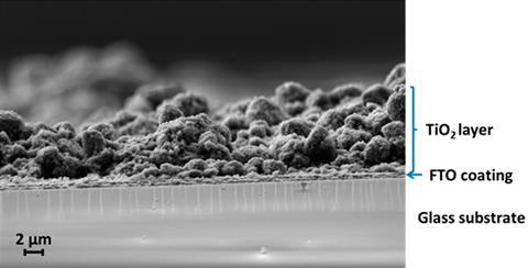 SEM image of the cross section of a photoanode