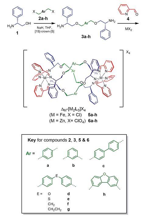 A scheme showing the synthesis and characterisation of new metallohelices