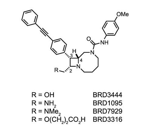 Structures of key antimalarial compounds 