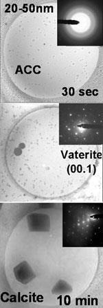 cryoTEM-150