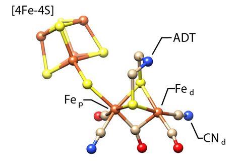 An image showing the molecular structure of the [FeFe]-hydrogenase active site, the H-cluster