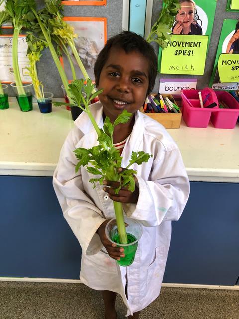 An image showing a child holding a plant