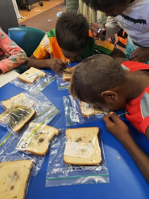 An image showing children experimenting on mouldy bread