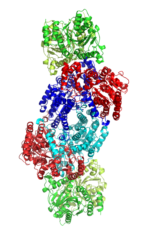 Structure of nitrogenase