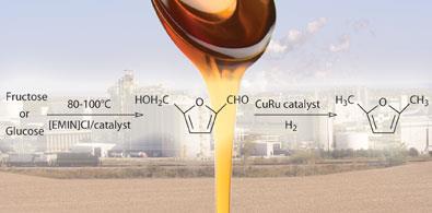 WEB-sugar-biorefinery-390