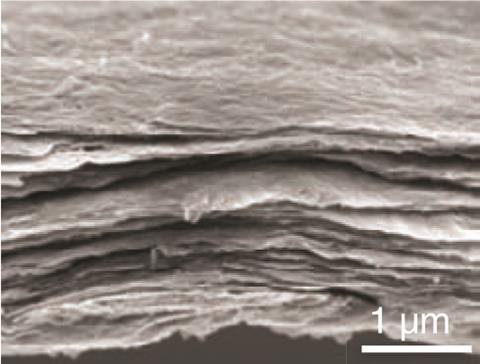 SEM image of composite thin film