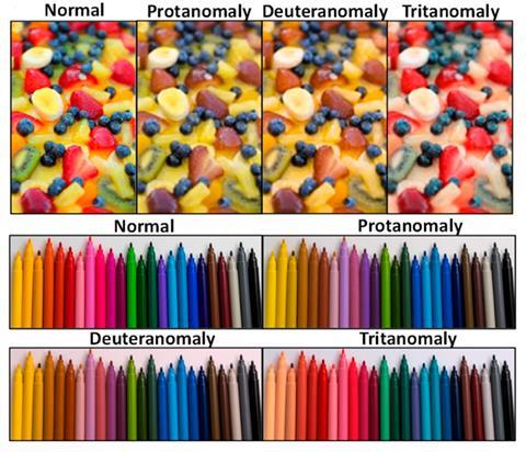 A collection of colour photos showing how colours are perceived by people with colour vision deficiencies