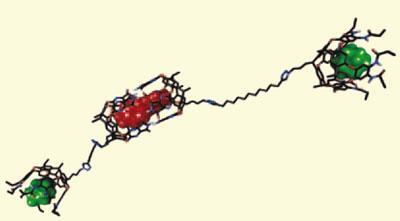 macromolecule-400