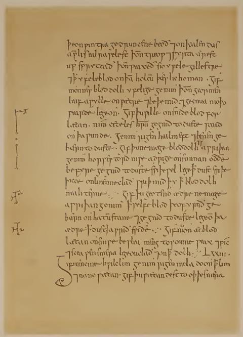 A page from Bald's Leechbook