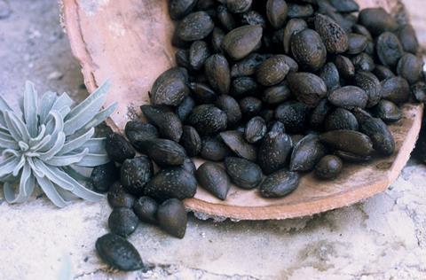 Kyrenia Ship almonds