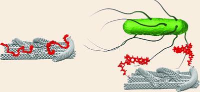 CNT-aptamer-400