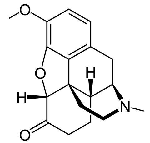 Hydrocodone structure
