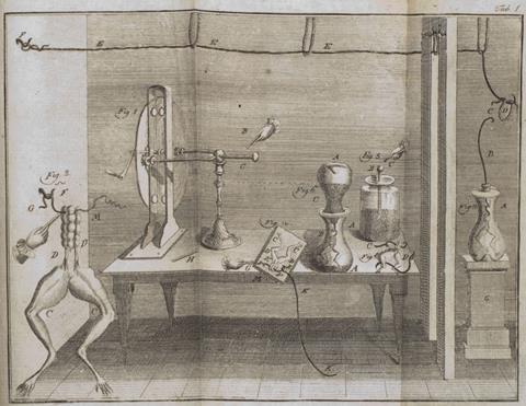 Luigi Galvani's experiment on post-mortem frog legs