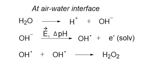 A scheme showing the proposed mechanism to form H2O2 at the air−water interface of microdroplets