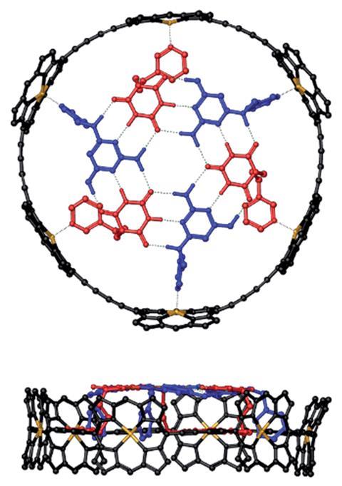 An image showing top and side views of a hexapyridine H-bonded rosette bound inside a nanoring