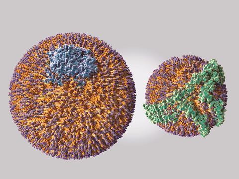 Low density lipoprotein (LDL) particle & a high density lipoprotein (HDL) particle 