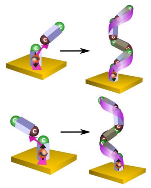 A simplified figure showing the polymer's growth and chirality induction