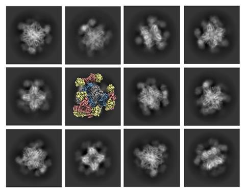 Cryo-EM images