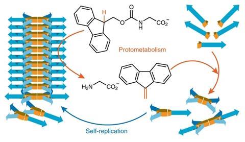A scheme showing chance emergence of catalytic activity and promiscuity in a self-replicator