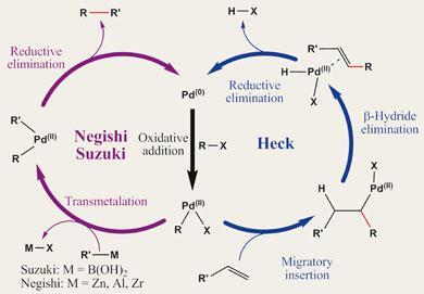 FEATURE-nobel-390