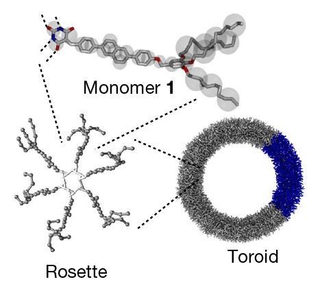 An image showing models of one monomer