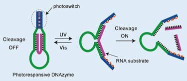 DNA-switch-375