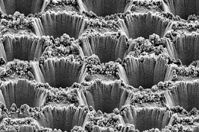 Micrograph showing the periodically aligned micro-probes and a partially removed surface layer