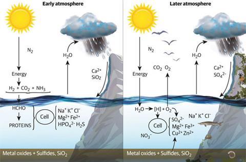 A chemical account of evolution | Feature | Chemistry World