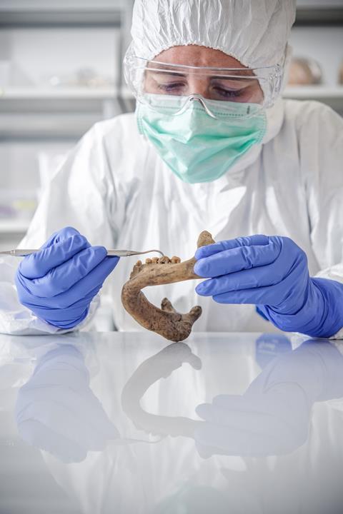A photograph of a laboratory working wearing full PPE carefully sampling from a Palaeolithic jaw bone
