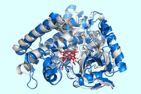 Swirly structural representation of an enzyme with a bright red molecule in its centre.