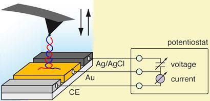 Fig1a-410