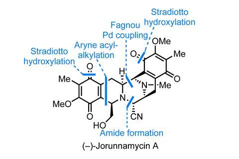 An image showing the structure of Jorunnamycin 