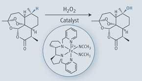 FEATURE-C-H-activation-290