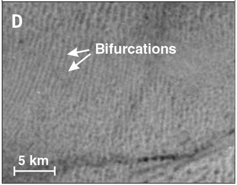 An image showing linear ridges on Pluto's surface