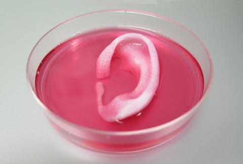 3D printed tissues grow and develop in animal tests
