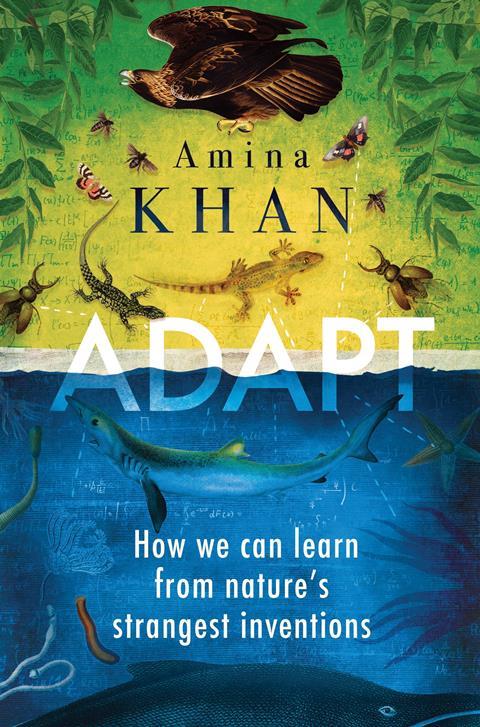 Adapt – Amina Khan