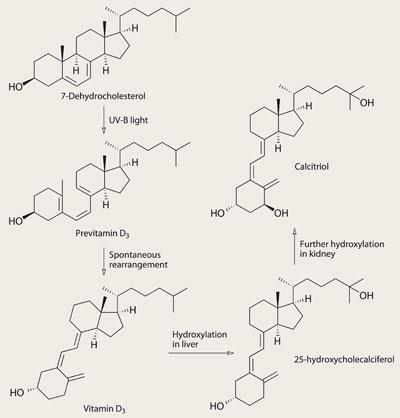 FEATURE-VITAMIN-D-400