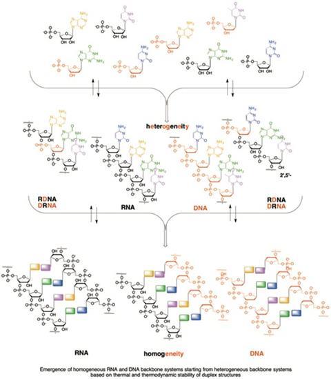 Challenging the RNA World Hypothesis