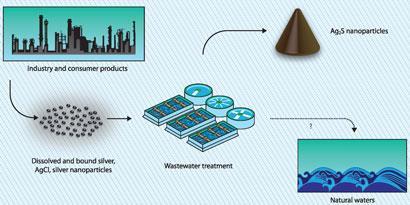 Silver soils | Feature | Chemistry World