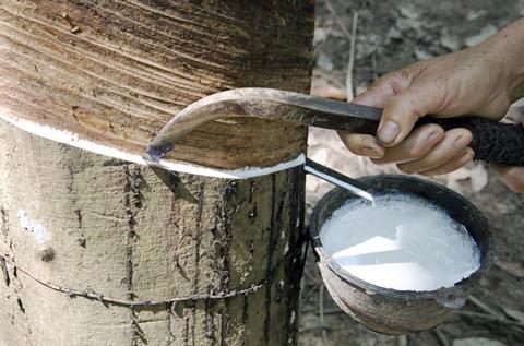 Tapping natural rubber