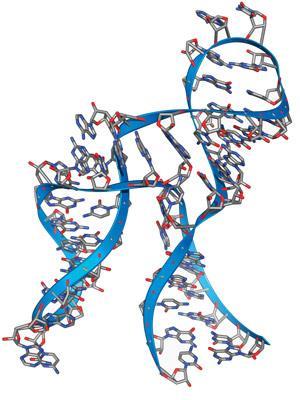 CW0316_Ribozymes_F1_300m