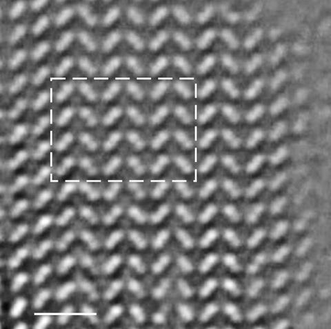 Microscope image
