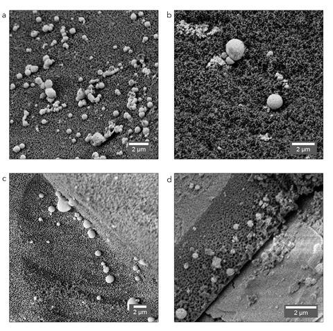 SEM images of Ga- and Pd/Ga decorated porous glass