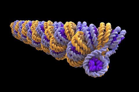 Chromatin fiber