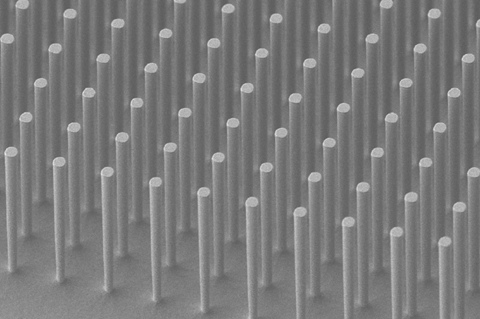 An image showing a SEM image of the Si nanowire array