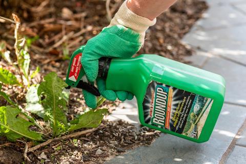  Gardener using Roundup herbicide in a garden