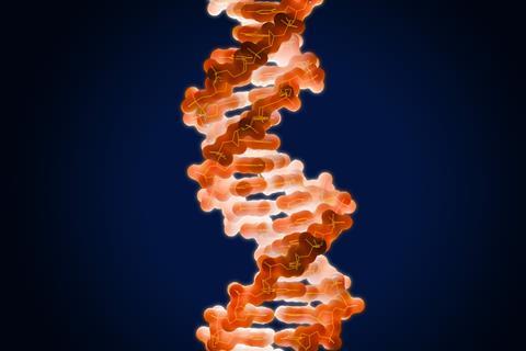 A DNA double helix